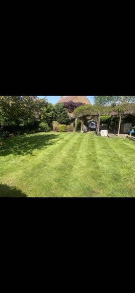 Freshly mown lawn with clean stripes in a large rear garden, leading up to a planted pergola